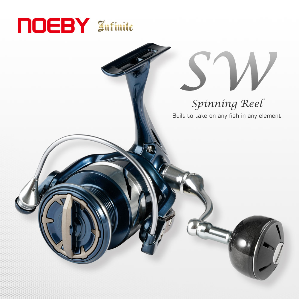 Noeby INFINITE SW Saltwater Sp - đánh giá và giá Daiwa Reel Bg